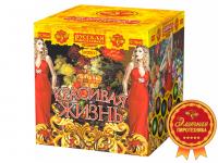 Красивая жизнь Фейерверк купить в Электроуглях | ehlektrougli.salutsklad.ru