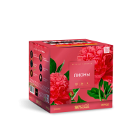 Пионы Салют купить в Электроуглях | ehlektrougli.salutsklad.ru