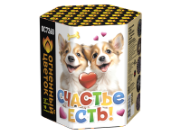 Счастье есть! Салют купить в Электроуглях | ehlektrougli.salutsklad.ru