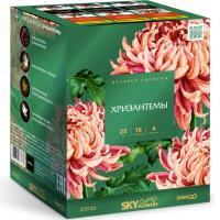 Хризантемы Фейерверк купить в Электроуглях | ehlektrougli.salutsklad.ru